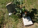 image of grave number 190343